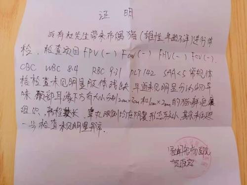 有藓蛋蛋过小配不了种花一万多买这猫有啥用