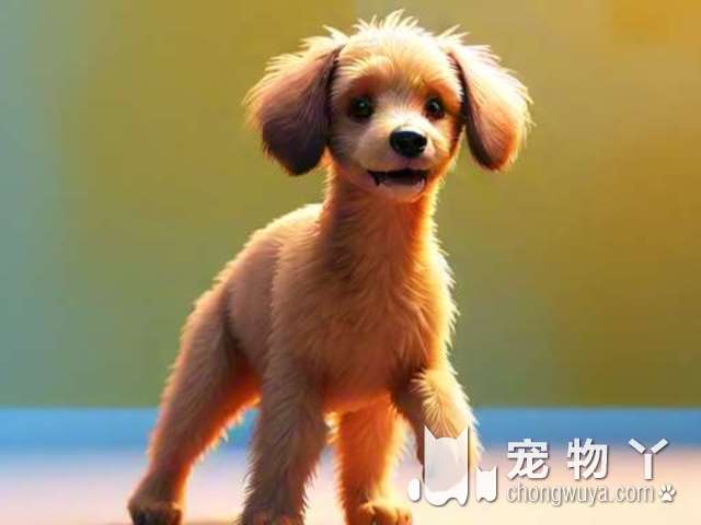 博美犬的攻击力大吗？